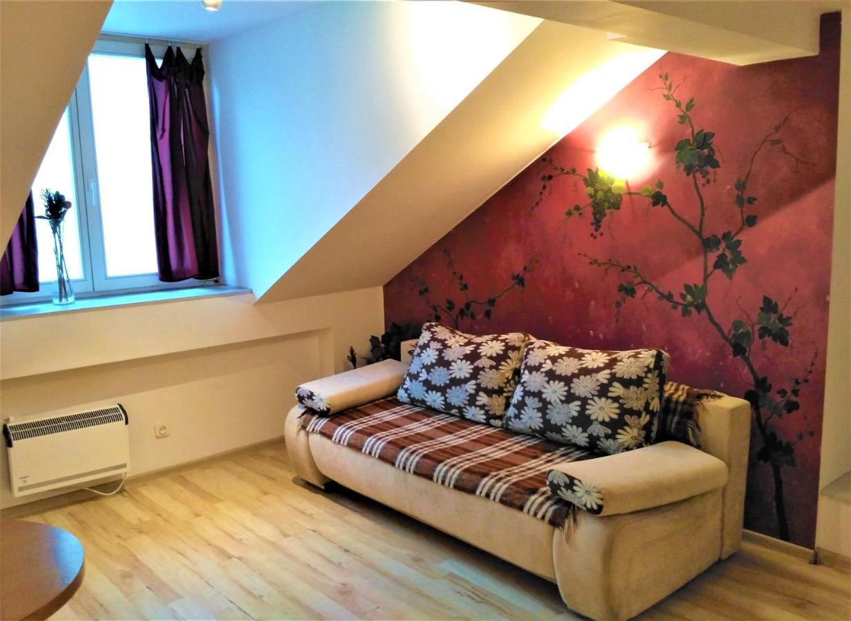 Krakow City Centre Apartment - Bon Turystyczny Экстерьер фото